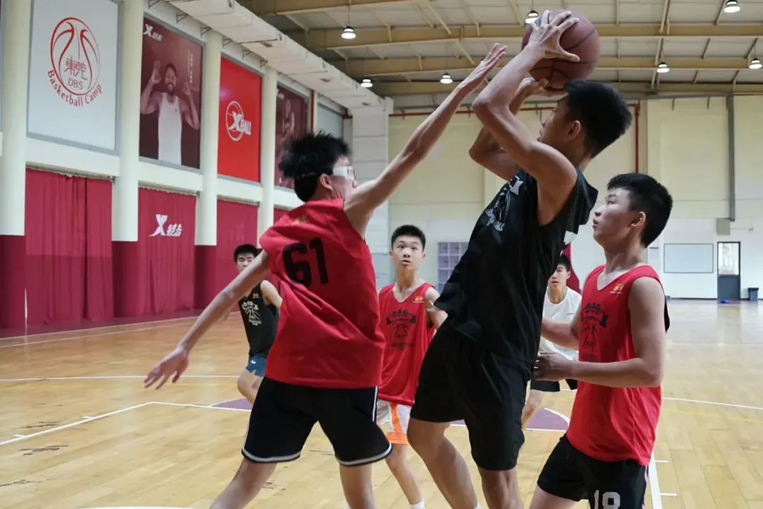 东莞篮球训练营成人